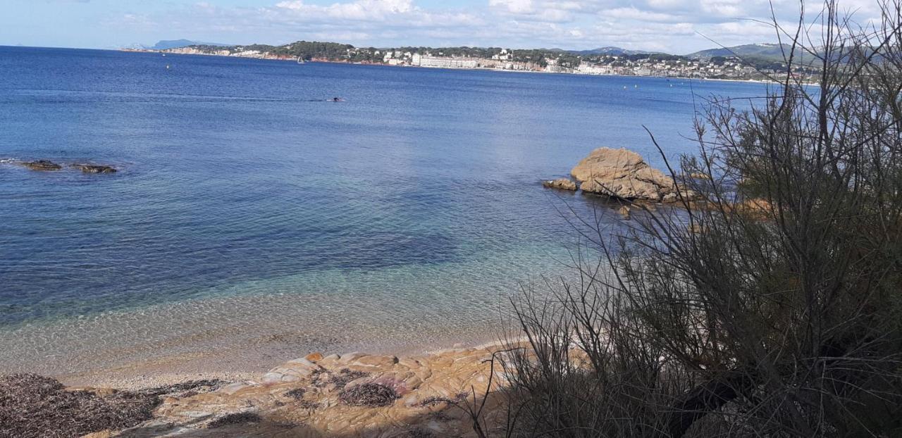 Suite & Spa Just Dream 28 Six-Fours-les-Plages Exteriér fotografie